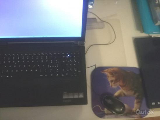 Lavoro in smart working foto-13565