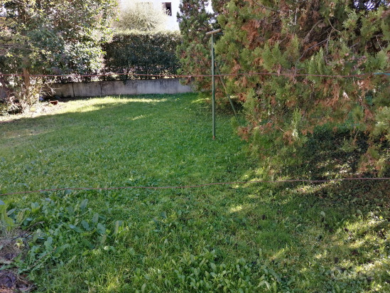 Casa singola da ristrutturare foto-72448