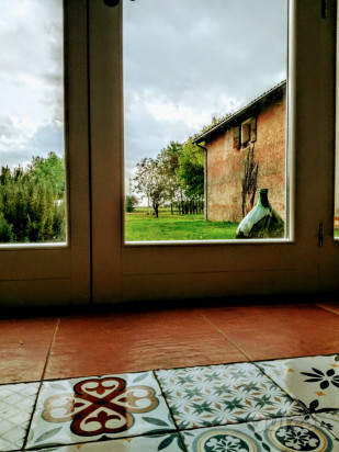 Rustico con ampio terreno di proprietà foto-72459