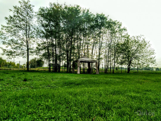 Rustico con ampio terreno di proprietà foto-72464