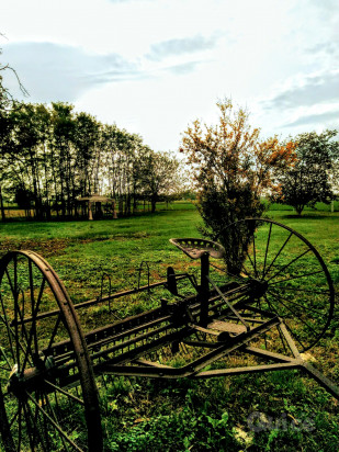 Rustico con ampio terreno di proprietà foto-72465