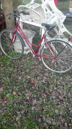 Bicicletta da donna city bike foto-72549