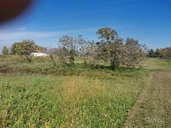 Terreno agricolo in Vendita - Rif.  11.112 - 07/10/2020 foto-84339