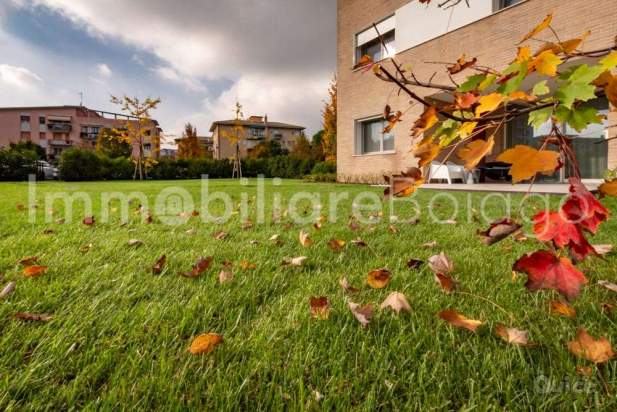 Treviso Fuori mura a Treviso foto-108270