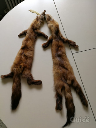  Vendo colli visone selvatico da usare come copricollo o su giubbotti foto-112094
