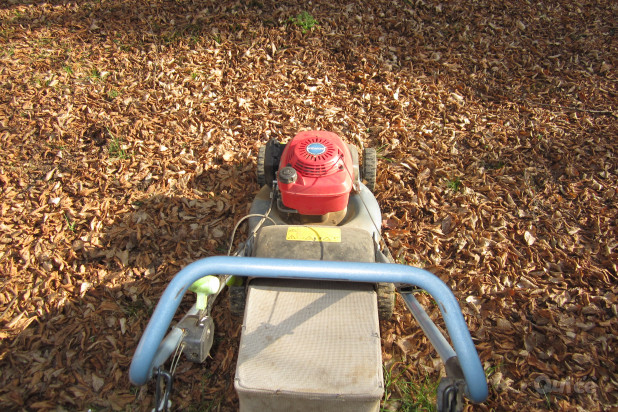 Rasaerba Honda IZY dotata di easy start e trazione foto-133162