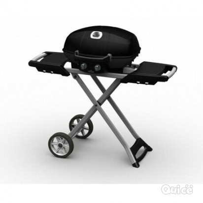 BARBECUE NAPOLEON PORTATILE foto-20108