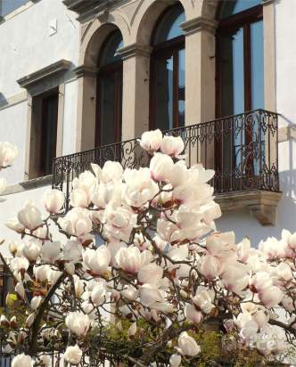 VITTORIO VENETO, Frati PALAZZO SIGNORILE a Vittorio Veneto foto-2041