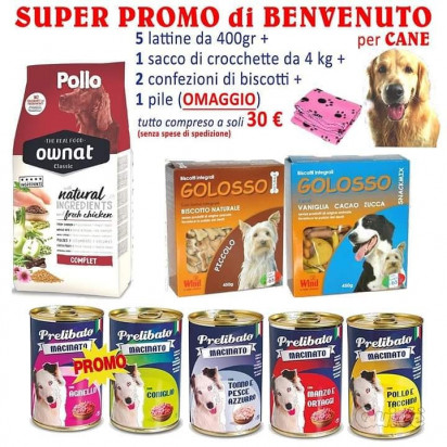 Bag di benvenuto per cani e gatti foto-175551