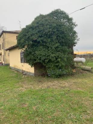 Bifamiliare in vendita a Carpi (Modena) foto-179729