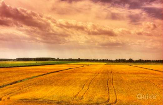 Terreno in vendita a Carpi (Modena) foto-22568