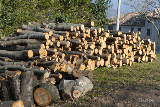 Vendo legna ciliegio pezzi da 1,5/2m da ritirare sul posto. 9€ al quintale foto-23020