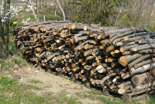 Legna ciliegio e noce pezzatura media. Prezzo a corpo foto-24927