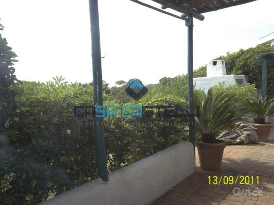 Appartamento in affitto a Sabaudia (LT) foto-213447