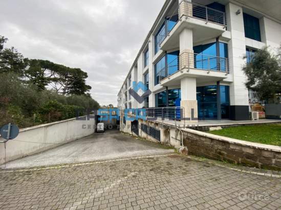 Magazzino in affitto a Frascati (RM) foto-213473