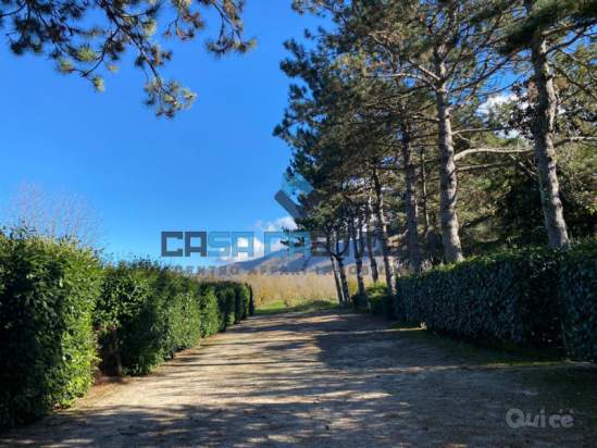 Appartamento in affitto a Velletri (RM) foto-213509