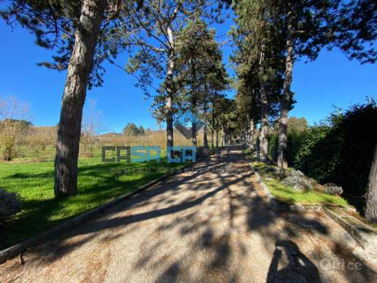 Appartamento in affitto a Velletri (RM) foto-213510