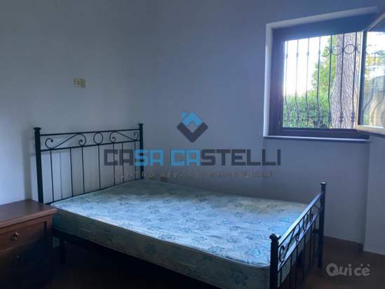 Appartamento in affitto a Velletri (RM) foto-213503