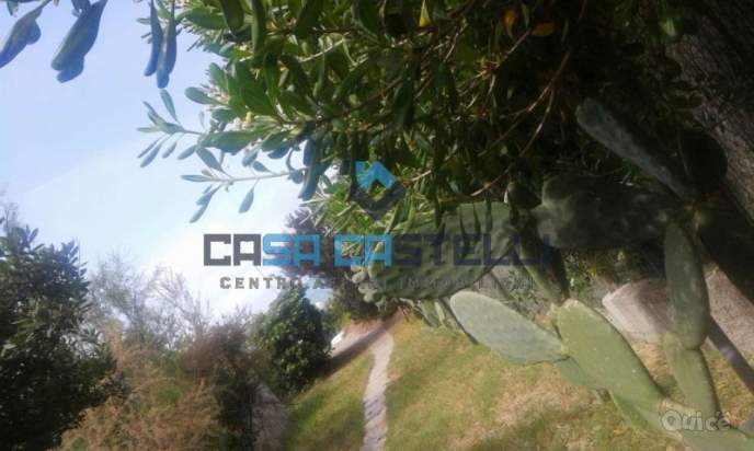 Appartamento in affitto a Sabaudia (LT) foto-213620