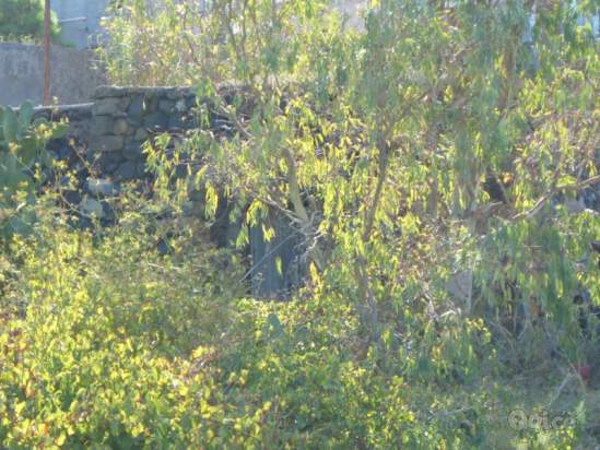 Terreno in vendita a Pantelleria (TP) foto-230034