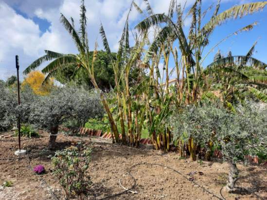 Villa in vendita a Bagheria (PA) foto-230157