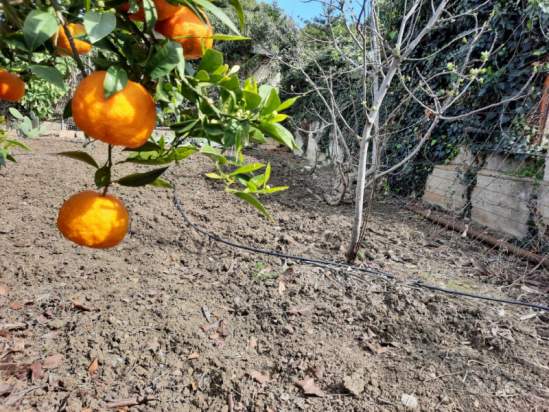 Villa in vendita a Bagheria (PA) foto-230163