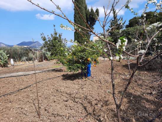 Villa in vendita a Bagheria (PA) foto-230162