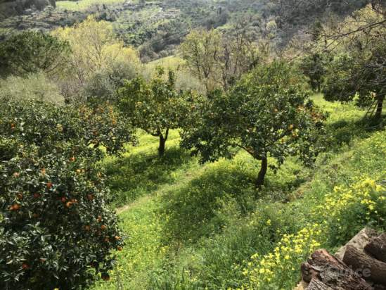 Rustico in vendita a Reitano (ME) foto-230192