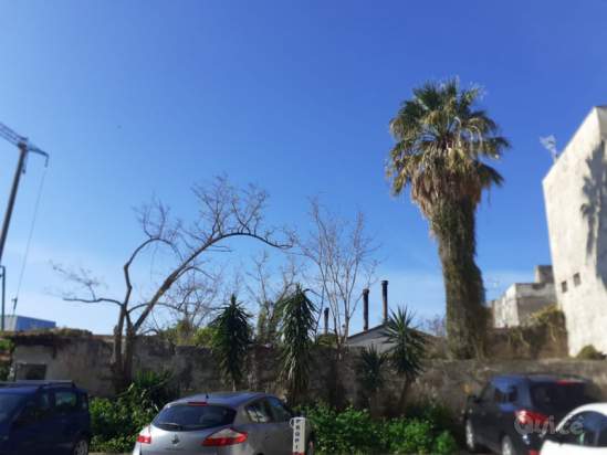 Appartamento in vendita a Terrasini (PA) foto-230455