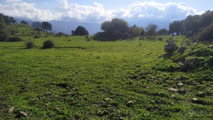 Terreno in vendita a Caronia (ME) foto-230631