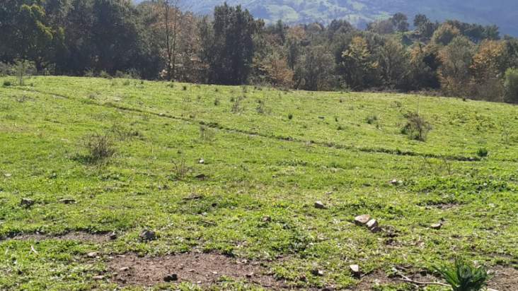 Terreno in vendita a Caronia (ME) foto-27214