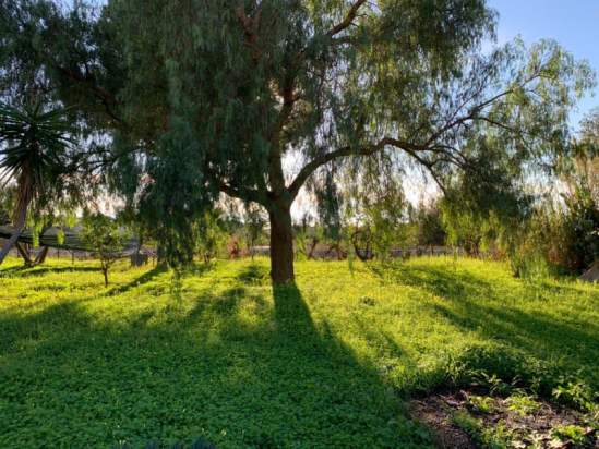 Villa in vendita a Terrasini (PA) foto-230663