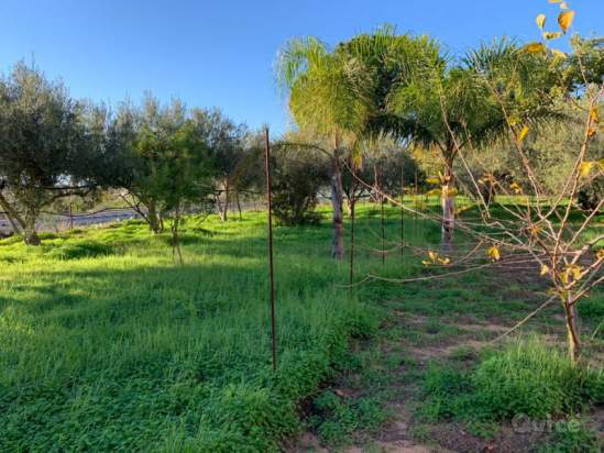 Villa in vendita a Terrasini (PA) foto-230659