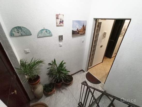 Appartamento in vendita a Palermo (PA) foto-230798