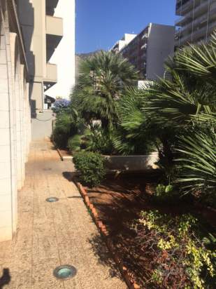 Negozio in vendita a Palermo (PA) foto-230863