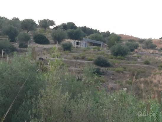 Terreno in vendita a Trabia (PA) foto-230880