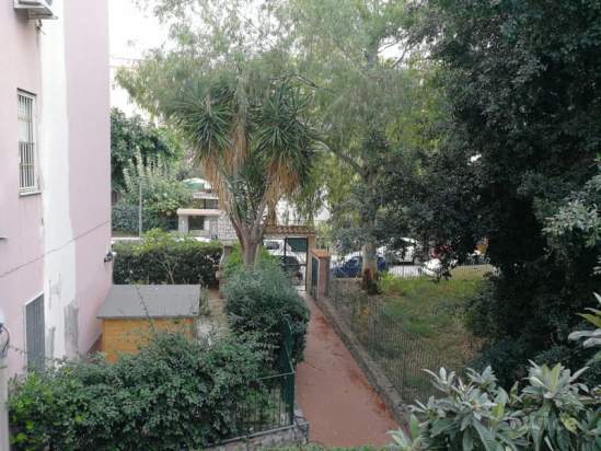 Appartamento in vendita a Palermo (PA) foto-231023