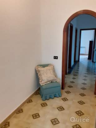 Appartamento in affitto a Palermo (PA) foto-231235