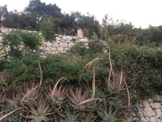 Appartamento in vendita a Monreale (PA) foto-231501