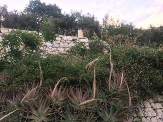 Appartamento in vendita a Monreale (PA) foto-231505