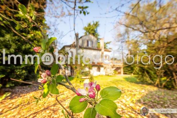 VILLA VENETA A MOGLIANO a Mogliano Veneto foto-234431