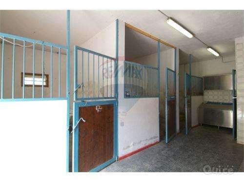 FZ74 MERAVIGLIOSA VILLA STORICA DEL 700 CON PARCO a Motta di Livenza foto-257517