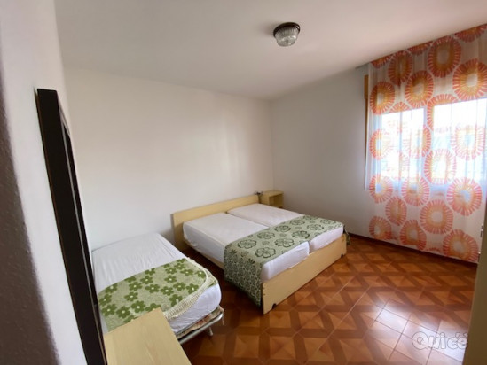 STELLA 111 foto-269096