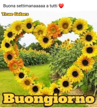 Gruppo amicizie foto-34367