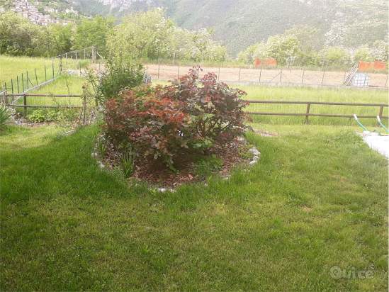 Villa a Trambileno foto-306243