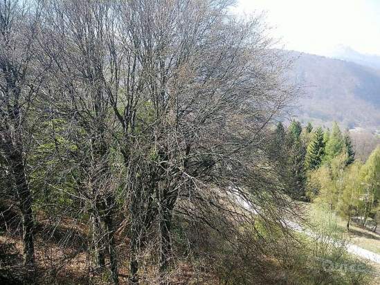 R a Brentonico foto-306416