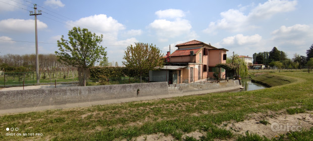 RUSTICO NELLE CAMPAGNE DI SAN BIAGIO DI CALLALTA foto-309692