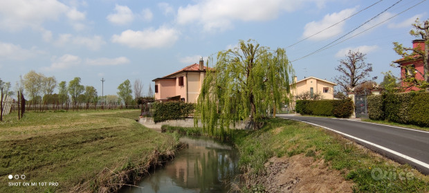 RUSTICO NELLE CAMPAGNE DI SAN BIAGIO DI CALLALTA foto-35319