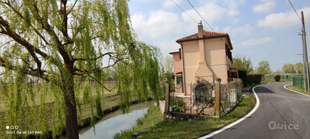 RUSTICO NELLE CAMPAGNE DI SAN BIAGIO DI CALLALTA foto-309690