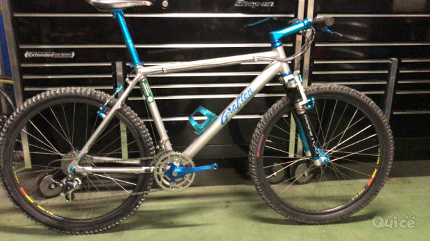 Cerco Mtb Vintage  foto-310373